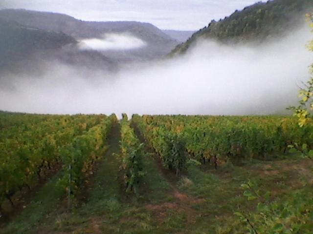 Maison Isolee Dans Les Vignes Et Les Bois Valady Ngoại thất bức ảnh
