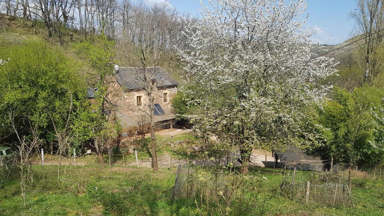 Maison Isolee Dans Les Vignes Et Les Bois Valady Ngoại thất bức ảnh