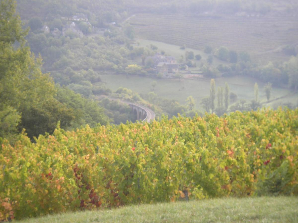 Maison Isolee Dans Les Vignes Et Les Bois Valady Ngoại thất bức ảnh