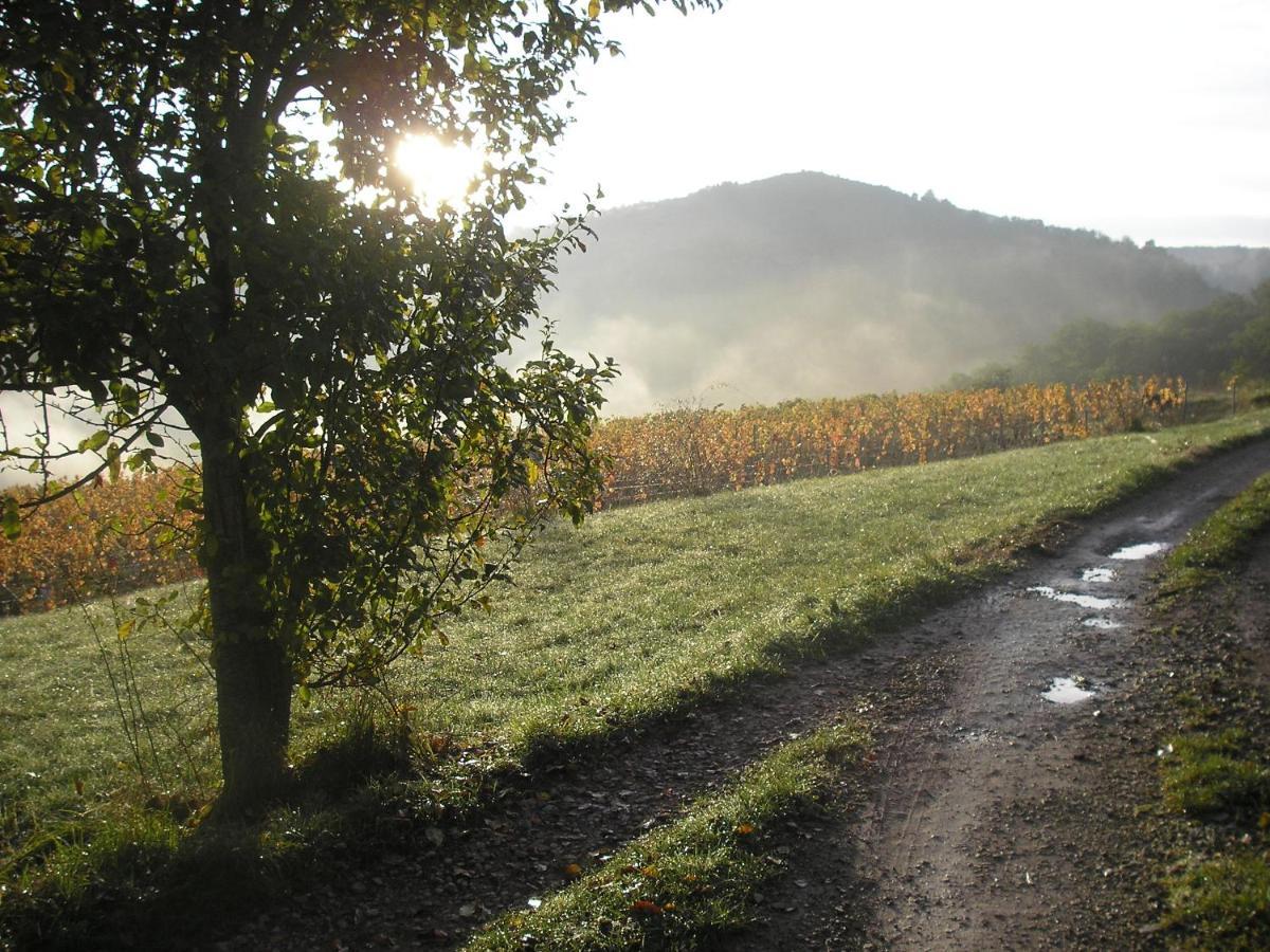 Maison Isolee Dans Les Vignes Et Les Bois Valady Ngoại thất bức ảnh