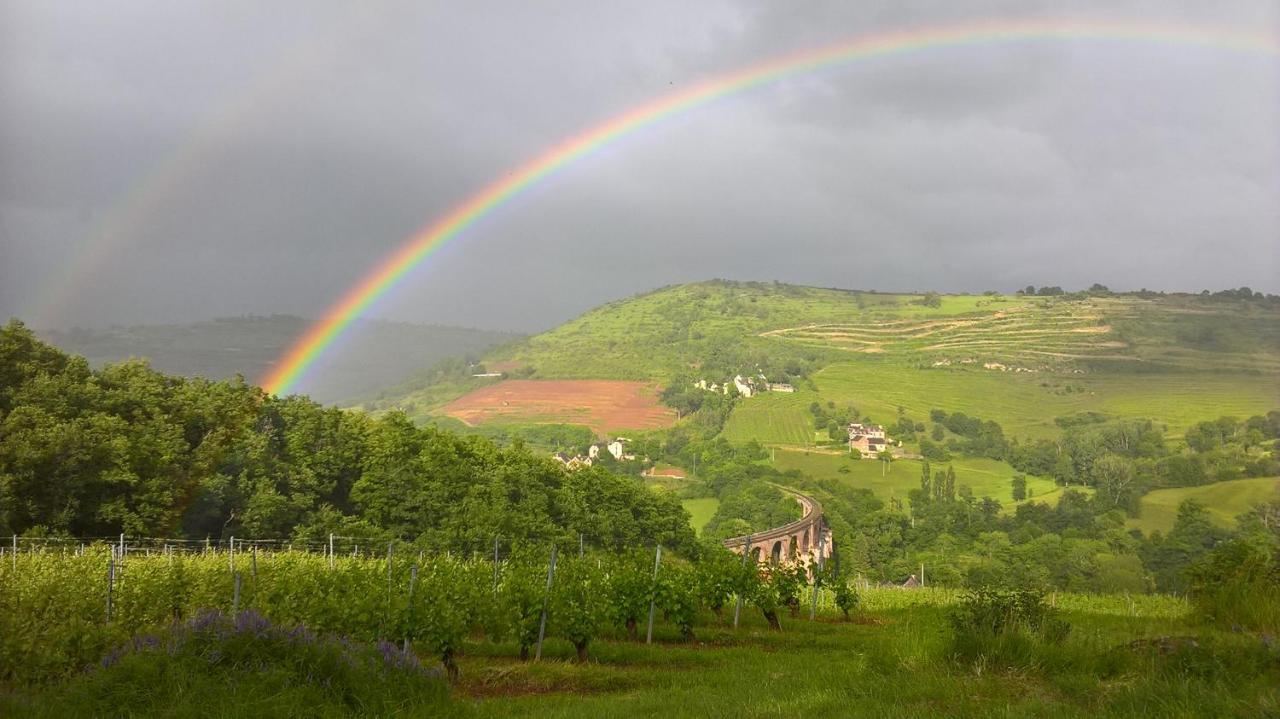 Maison Isolee Dans Les Vignes Et Les Bois Valady Ngoại thất bức ảnh